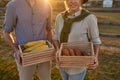 Cropped of farmer couple hold corn and carrot