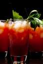 Cropped frame of Bloody Mary with ice cubes with celery isolated on black Royalty Free Stock Photo