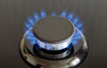 Cropped gas burner Royalty Free Stock Photo