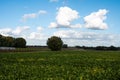 Cropped green agriculture fields at the Flemish countryside around Asse