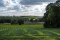 Cropped green agriculture fields at the Flemish countryside around Asse