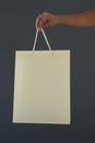 Cropped hand of female customer holding shopping bag Royalty Free Stock Photo