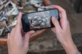 Cropped Hand Of Person Photographing Fishes In Mug With Mobile Phone
