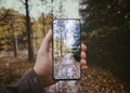 cropped hand photographing trees in forest Royalty Free Stock Photo