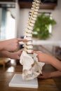 Cropped hands of female therapist and boy pointing at artificial spine Royalty Free Stock Photo