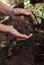 Cropped hands of senior woman holding dirt