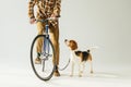 cropped image of bicycler with dog on white Royalty Free Stock Photo