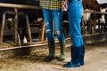 cropped image of couple of farmers standing in stable