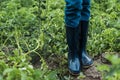 cropped image of farmer standing in rubber boots