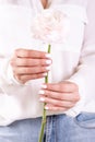 Cropped image of a girl in jeans and a T-shirt holding a red flower in her hands with a manicure on a white background Royalty Free Stock Photo