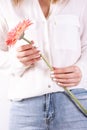 Cropped image of a girl in jeans and a T-shirt holding a red flower in her hands with a manicure on a white background Royalty Free Stock Photo