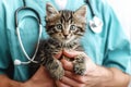 Cropped Image of Handsome Male Veterinarian Doctor with Stethoscope Holding Cute Fluffy Striped Kitten in Arms in Veterinary Royalty Free Stock Photo
