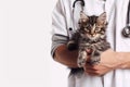 Cropped Image of Handsome Male Veterinarian Doctor with Stethoscope Holding Cute Fluffy Striped Kitten in Arms in Veterinary Royalty Free Stock Photo