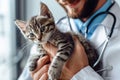 Cropped Image of Handsome Male Veterinarian Doctor with Stethoscope Holding Cute Fluffy Striped Kitten in Arms in Veterinary Royalty Free Stock Photo