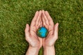 cropped image of man holding earth model in hands above green grass, earth Royalty Free Stock Photo