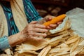 Cropped image of an old lady peeling and selecting with hands corn on a table surrounded by corn peel. Agriculture work.