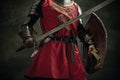 Cropped image. Portrait of one brutal man, medeival warrior or knight with sword and shield Royalty Free Stock Photo