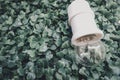 Cropped image, simple decoration with green artificial turf and bulb background