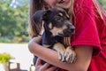 Cropped image of a smiling girl in a red teeshirt holding her puppy Royalty Free Stock Photo