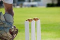 Cropped image of wicketkeeper catching ball behind stumps Royalty Free Stock Photo