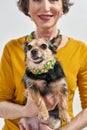 Cropped image of woman hold Chihuahua dog in hands