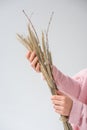 cropped image of woman holding bunch of willow tree branches and spikelets