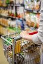 Cropped image of woman pushing trolley Royalty Free Stock Photo