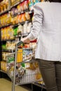 Cropped image of woman pushing trolley Royalty Free Stock Photo