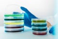 Petri Dishes In The Lab. Royalty Free Stock Photo