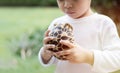 Cropped image of a young boy wearing white shirt holding a turtle in his hand on a blue background with copy cpace Royalty Free Stock Photo