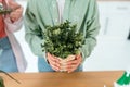 Cropped image young woman holding pot plant. Royalty Free Stock Photo
