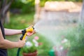 Cropped image of young woman watering flowers and plants in garden with hose in sunny blooming backyard Royalty Free Stock Photo