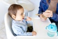 cropped mother feed little toddler baby boy with baby food, from plastic spoon in high chair front view. Motherhood Royalty Free Stock Photo