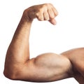 Cropped muscular man flexing bicep. Isolated on white