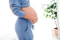 Cropped photo of adorable lovely cute pregnant woman future mom touching belly waiting for childbirth white light Royalty Free Stock Photo