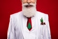 Cropped photo of charming pretty age gentleman wear new year costume smiling isolated red color background