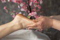 Cropped photo of chiropractor masseuse making manual massage of feet for woman patient near plant with pink flowers. Royalty Free Stock Photo