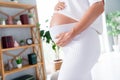 Cropped photo of gentle charming lovely pregnant girl future mama touching belly tummy white light indoors Royalty Free Stock Photo