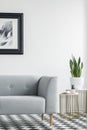 Cropped photo of a grey sofa next to golden tables with plants i