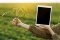 Cropped photo hands of female agronomist holds digital tablet with mockup screen and soya plant in field. Smart farming