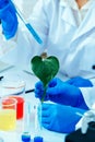 Cropped photo hands of scientists examining green plant in laboratory