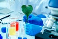 Cropped photo hands of scientists examining green plant in laboratory