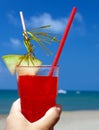 Cropped photo of male hand with coctail glass Royalty Free Stock Photo