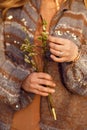 Cropped photo of woman wearing brown sweatshirt, woolen cardigan, holding bunch of pussy-willow twigs, touching catkins.