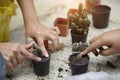 Cropped shot agriculture propagate and reproducing baby cactus o Royalty Free Stock Photo