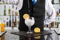 bartender making a gin tonic