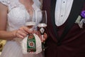 New married couple toasting champagne glasses at wedding party Royalty Free Stock Photo