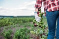 Farmer holding beets in field