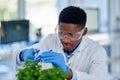 Just giving the plant a bit of a trim. Cropped shot of a focused young male scientist wearing protective gloves and