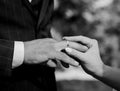 Cropped shot of groom putting a wedding ring Royalty Free Stock Photo